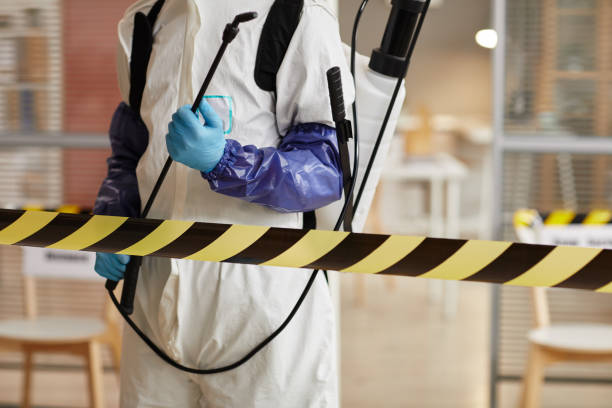Professional Sewage Cleanup technician working in Dillon, CO